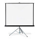 Apollo 70x70 electric projection screen showcased in a modern home theater setup, demonstrating high-quality image projection.